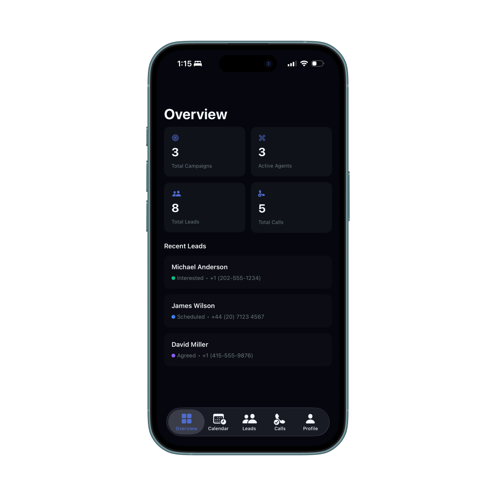Agenlead overview dashboard